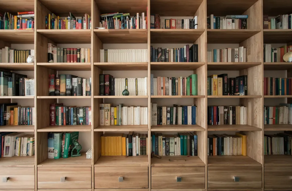 Biblioteka per visą sieną